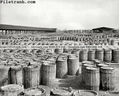 File gốc Piney Goods_ 1904 (in lụa) họa tiết 3D