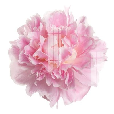 File tranh File gốc in tranh tổng hợp Q10027 (gốc) chủ đề trẻ em