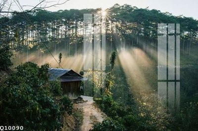 File in ấn chuyên nghiệp File gốc in tranh tổng hợp Q10090 (file gốc)