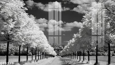 File in mica File gốc in tranh tổng hợp Q10119 (bản gốc) sắc sảo