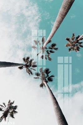 File in trần File gốc in tranh tổng hợp Q10152 (bản gốc) hoa văn