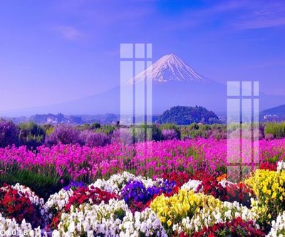 File tranh File gốc in tranh tổng hợp Q10184 (ảnh gốc) cho in ấn kỹ thuật số