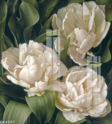 File gốc File gốc in tranh tổng hợp Q10197 (in lụa) hoa văn cổ điển