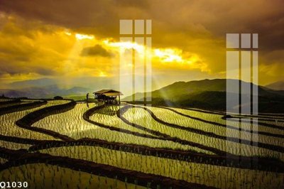 File tranh quảng cáo File gốc in tranh tổng hợp Q1030 (download file gốc)