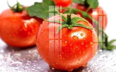 Download file gốc File gốc in tranh tổng hợp Q10333 (in mica) logo