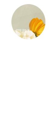 File PSD File gốc in tranh tổng hợp Q10369 (chất lượng in ấn)