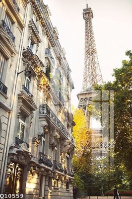 File gốc File gốc in tranh tổng hợp Q10559 (in lụa) cao cấp