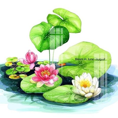 File tranh File gốc in tranh tổng hợp Q10628 (gốc) chủ đề trừu tượng