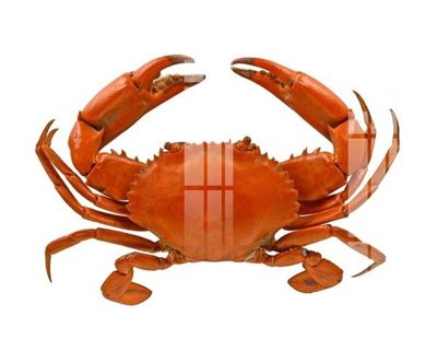 Mua file tranh gốc File gốc in tranh tổng hợp Q10802 tại Filetranh.com