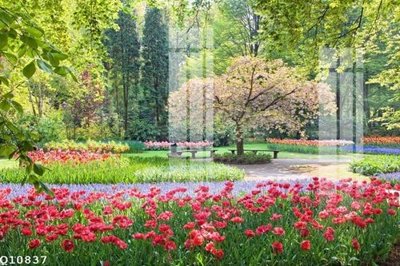 Tải file File gốc in tranh tổng hợp Q10837 (PSD) cho in tranh kính