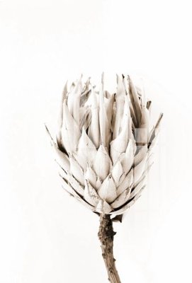 File gốc File gốc in tranh tổng hợp Q1087 (PSD/TIFF) độ phân giải cao