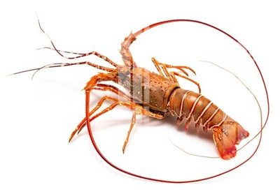 Mua file gốc File gốc in tranh tổng hợp Q10885 (in ấn) tại Filetranh.com