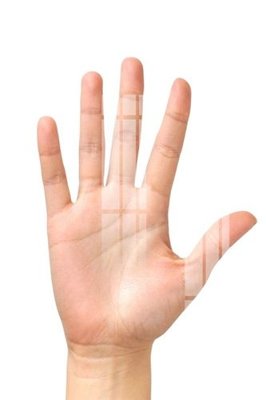 File gốc File gốc in tranh tổng hợp Q10979 (thiết kế) độc quyền