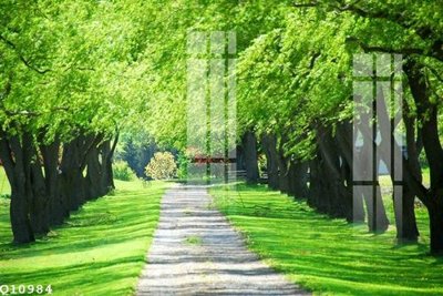 File gốc File gốc in tranh tổng hợp Q10984 (in lụa) tranh phong thủy