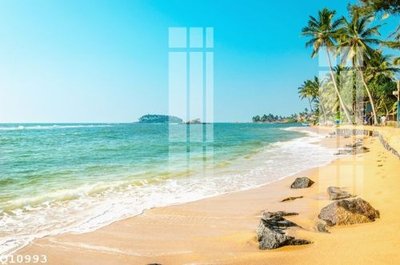 File gốc File gốc in tranh tổng hợp Q10993 (phong cách) châu Âu