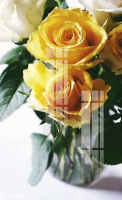 Tệp tin gốc File gốc in tranh tổng hợp Q11129 (chất lượng cao) File gốc in tranh tổng hợp Q11129