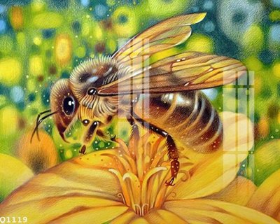 File in trần File gốc in tranh tổng hợp Q1119 (file gốc) xuyên sáng