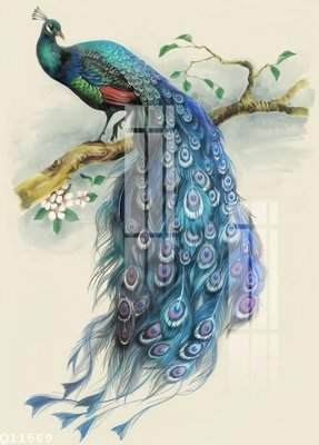 Tải file File gốc in tranh tổng hợp Q11569 (gốc) để in ấn ngay