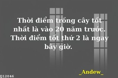 Hình ảnh file gốc in lụa File gốc in tranh tổng hợp Q12046