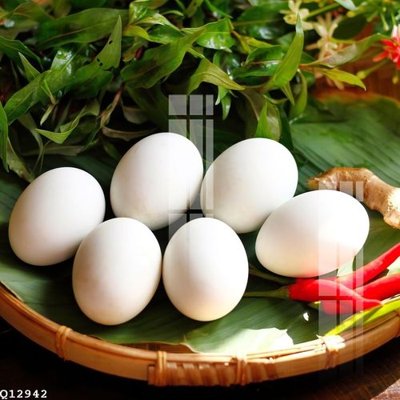 File gốc File gốc in tranh tổng hợp Q12942 (chuẩn màu) cho in offset