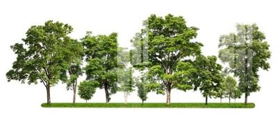 Download file gốc File gốc in tranh tổng hợp Q13346 (in lụa) tranh 3D