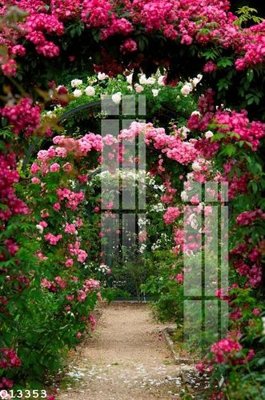 File gốc File gốc in tranh tổng hợp Q13353 (in tráng gương) ốp tường