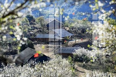 Chi tiết file tranh tráng gương File gốc in tranh tổng hợp Q13467 (ảnh gốc)