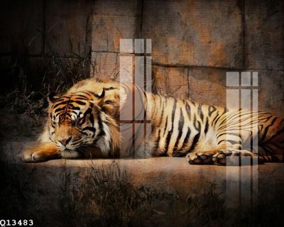 Tải về hình ảnh gốc File gốc in tranh tổng hợp Q13483 sắc nét