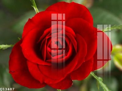 Download file File gốc in tranh tổng hợp Q13487 (gốc) in mica bàn thờ