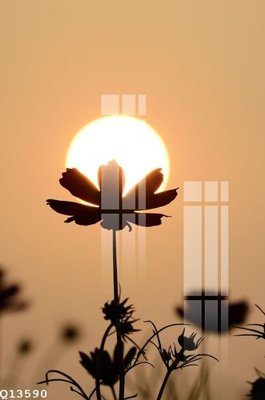 File tranh File gốc in tranh tổng hợp Q13590 (ảnh gốc) in trần 3D