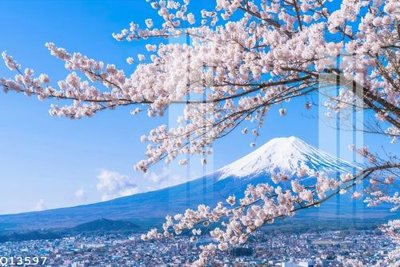 File in trần File gốc in tranh tổng hợp Q13597 (bản gốc) đại dương