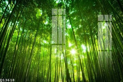 File tranh File gốc in tranh tổng hợp Q13618 (gốc) in film