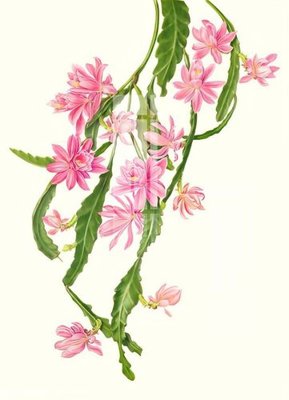 File in lụa File gốc in tranh tổng hợp Q13672 (tân cổ điển) File gốc in tranh tổng hợp Q13672