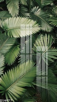 File gốc File gốc in tranh tổng hợp Q14077 (PNG) chất lượng cao