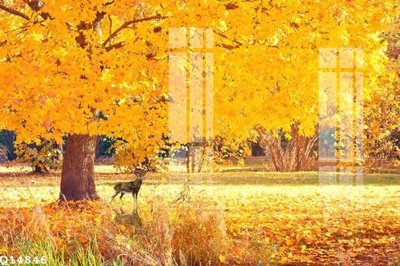 File tranh File gốc in tranh tổng hợp Q14846 (gốc) chủ đề thành phố