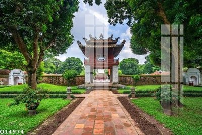 File in trần File gốc in tranh tổng hợp Q14974 (bản gốc) hoa văn