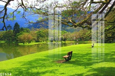 File gốc File gốc in tranh tổng hợp Q1534 (in tráng gương) sang trọng