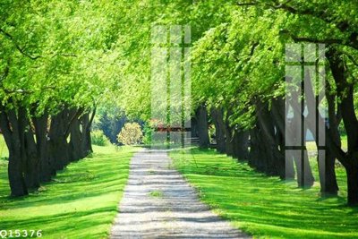 File gốc File gốc in tranh tổng hợp Q15376 (in lụa) tranh phong thủy