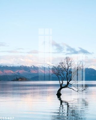 Tải file tranh File gốc in tranh tổng hợp Q15407 (ảnh gốc) ngay