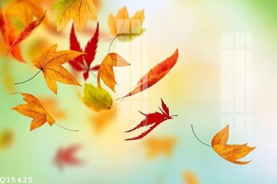 File ảnh File gốc in tranh tổng hợp Q15425 (gốc) in poster