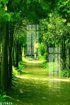 Tệp tin gốc File gốc in tranh tổng hợp Q15429 (dùng cho in ấn) chuyên nghiệp