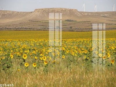 File ảnh File gốc in tranh tổng hợp Q15435 (gốc) cho trang trí nhà hàng