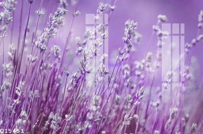 File PSD File gốc in tranh tổng hợp Q15451 (nguyên gốc) chất lượng cao