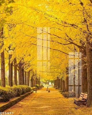 Download file gốc File gốc in tranh tổng hợp Q15497 (in lụa) cao cấp