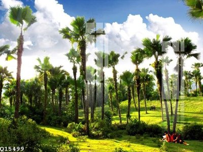 File gốc File gốc in tranh tổng hợp Q15499 (cho in ấn) từ kho Filetranh