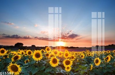 Download file ảnh gốc File gốc in tranh tổng hợp Q15503 để in ấn