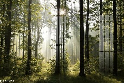 File tranh File gốc in tranh tổng hợp Q15521 (ảnh gốc) cho in ấn kỹ thuật số