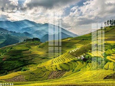 Tải file File gốc in tranh tổng hợp Q15546 (gốc) in trên mọi chất liệu