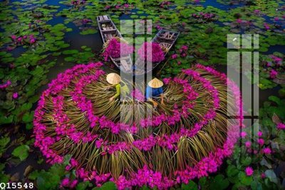 File tranh in trần 3D File gốc in tranh tổng hợp Q15548 (ảnh gốc)