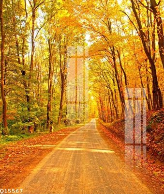 Tải về file gốc File gốc in tranh tổng hợp Q15567 (dùng cho in quảng cáo)